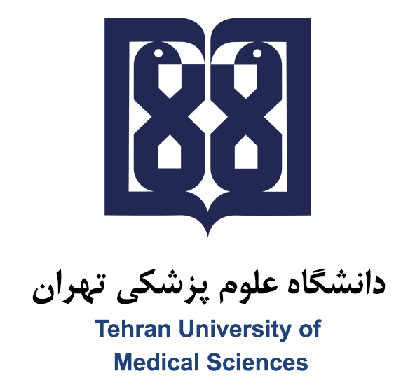 Owl Image